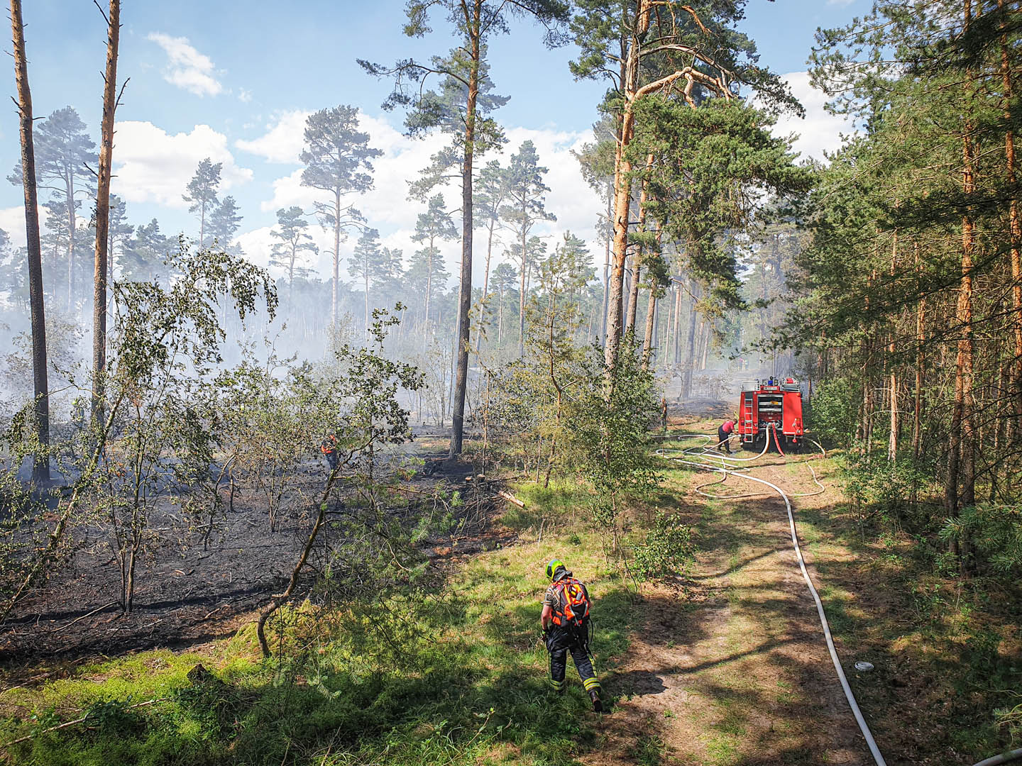 084/2019 FEU G WALD – Waldbrand - 2
