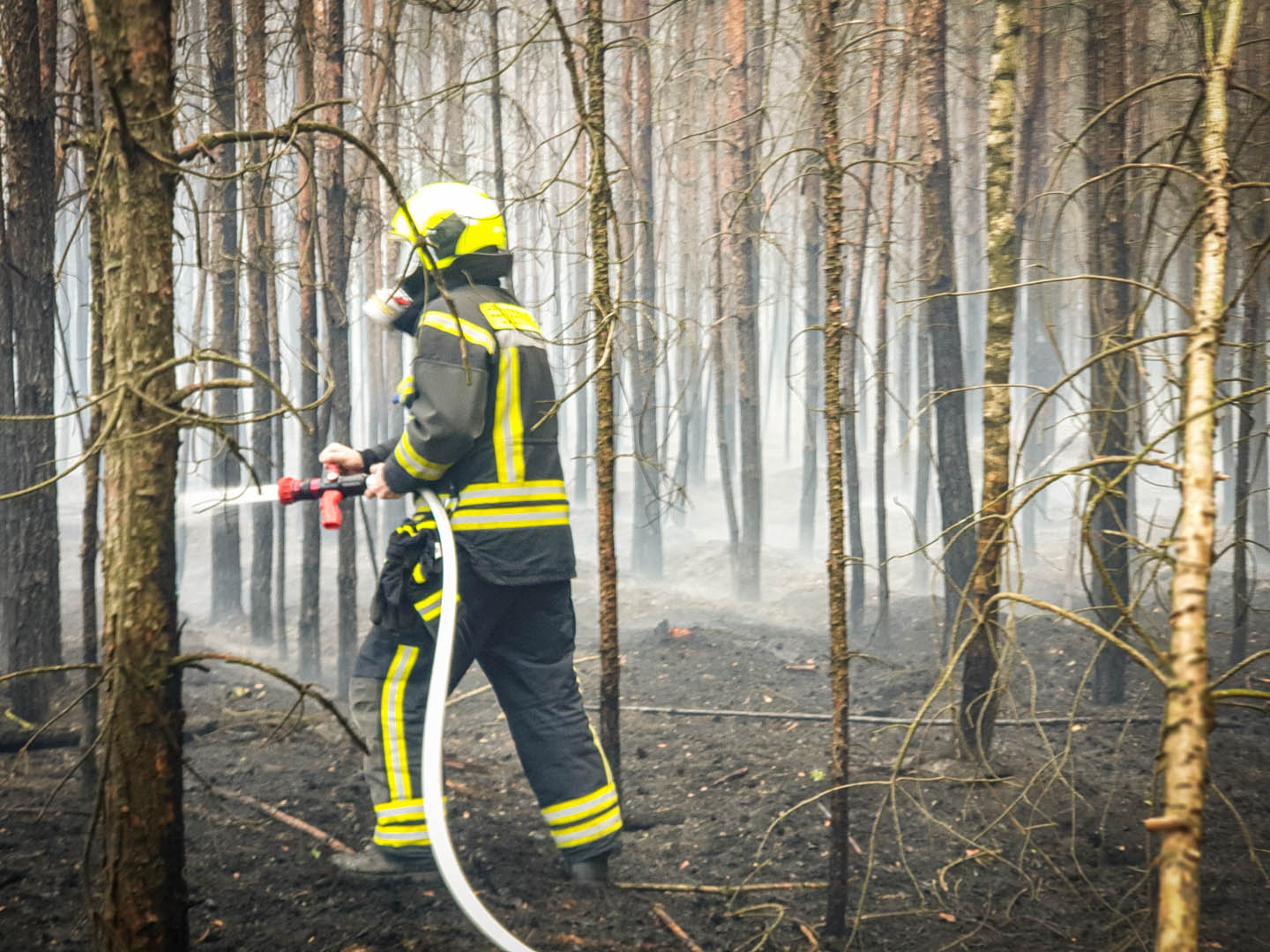 084/2019 FEU G WALD – Waldbrand - 5